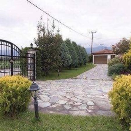 Olympus Leptokaria'S Luxurious Villa Екстериор снимка
