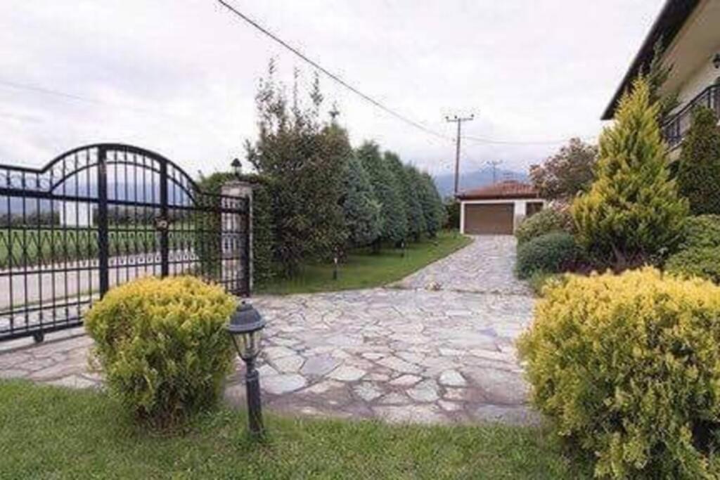 Olympus Leptokaria'S Luxurious Villa Екстериор снимка